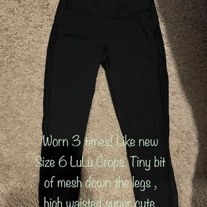 LuLu crops